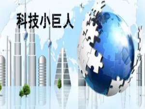 什么是科技小巨人 为什么要申报科技小巨人？