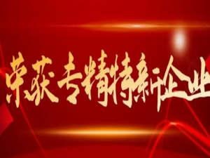 专精特新和小巨人是一回事吗？